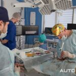 Автоплан помог провести операцию на позвоночнике собаки