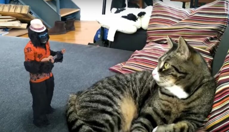 8i привлекла $27 миллионов и выпустила приложение Holo