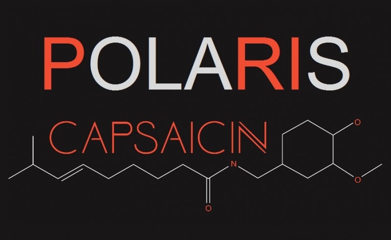 AMD-Polaris-Capsaicin-1