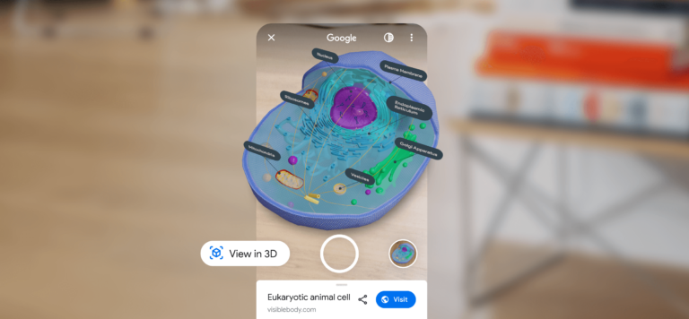 Google добавила в Поиск 3D-модели по анатомии и клеточной биологии