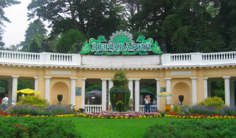 МТС и Spider Group дополнили реальность сочинского Дендрария