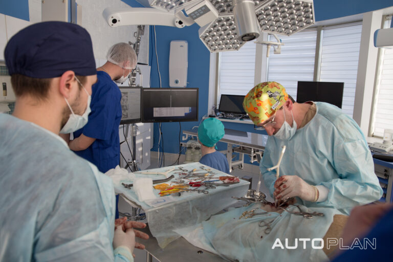 Автоплан помог провести операцию на позвоночнике собаки