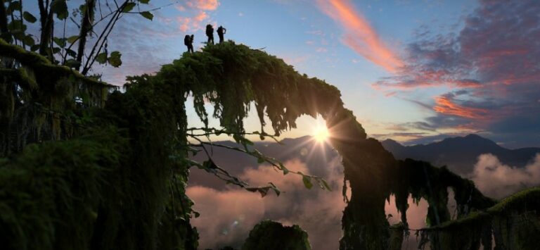 Стивен Спилберг и VRC работают над проектом виртуальной реальности