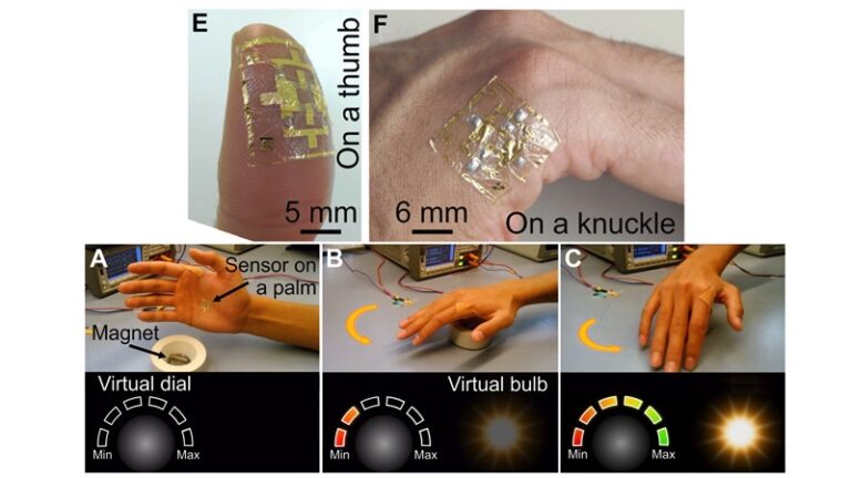 Кожа дополненной реальности позволяет чувствовать магнитные поля