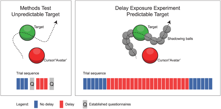 Мозг человека приспосабливается к задержкам обратной связи в виртуальной реальности
