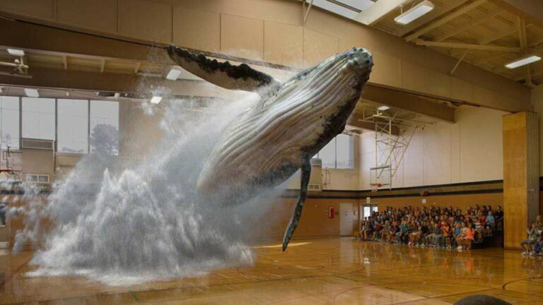 Браузер Magic Leap оживил летающего кита