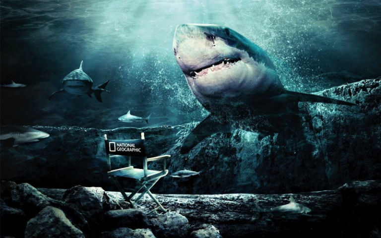 National Geographic создаёт собственную VR-студию