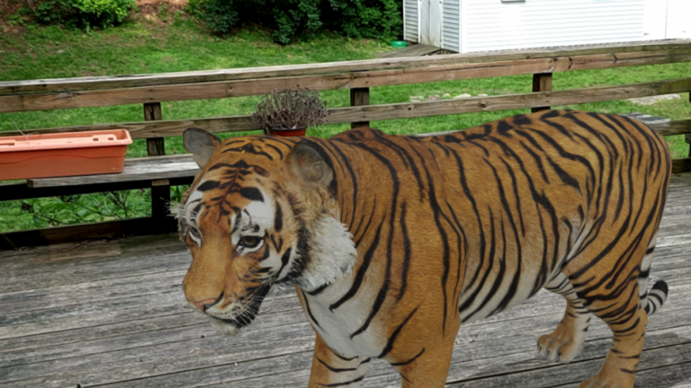 Поисковик Google начал показывать 3D-модели в дополненной реальности