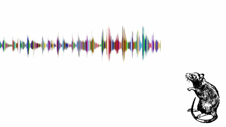 Виртуальная реальность усиливает ритмы мозга, важные для нейропластичности, обучения и памяти