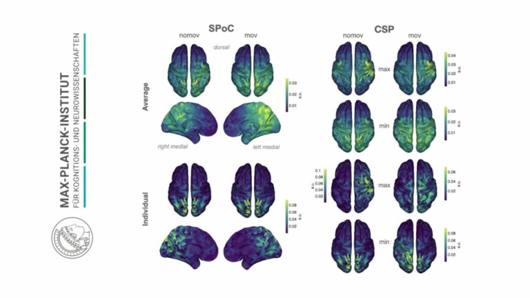 Немецкие учёные адаптировали виртуальную реальность для изучения человеческих эмоций