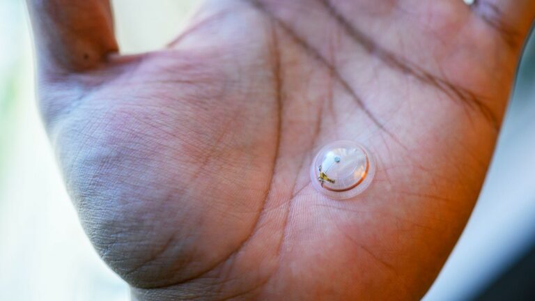 Раунд на будущее: Mojo Vision привлекла новых партнёров и большие инвестиции