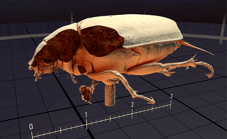 Мёртвые жуки стали особенностью обновления SteamVR 1.23