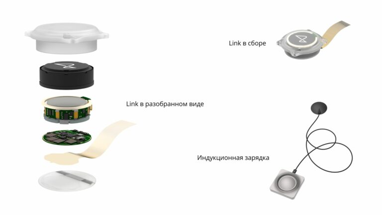 Neuralink: до испытаний на людях осталось полгода