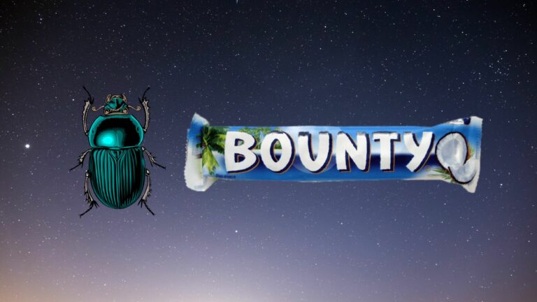 Meta* объявила вознаграждения за ошибки, найденные в Quest и Ray-Ban Stories