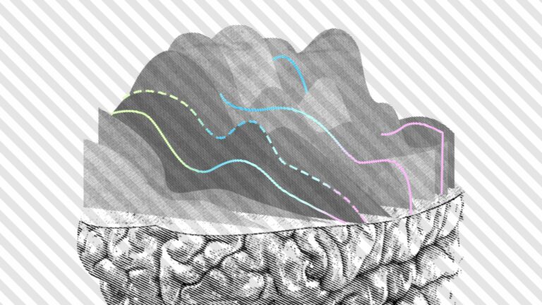 Государство отказало Neuralink в испытаниях на людях, пока сохраняются большие риски для их здоровья