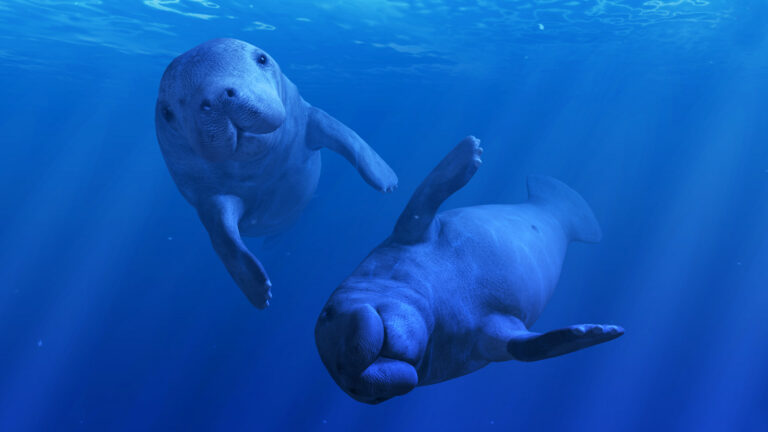 Российское исследование подтвердило пользу виара в борьбе с тревожностью