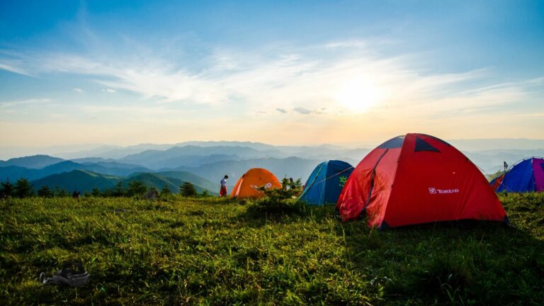 Голографика в отпуске до 24 июля