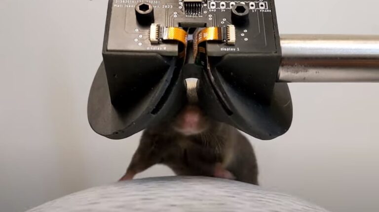 Мышь погружается: очки виртуальной реальности для мышей помогут в изучении нейрофизиологии и поведения