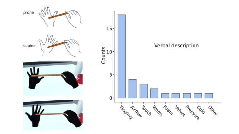 Исследование: человек испытывает фантомные прикосновения в виаре даже без зрительной информации
