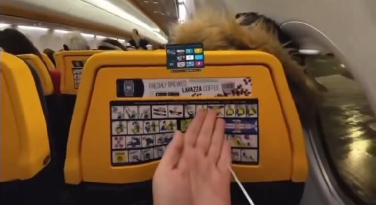 Meta* застыдили за поведение Quest в самолёте. Компания пообещала разобраться