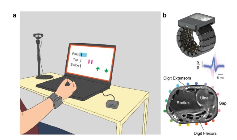 Reality Labs представила свежие и подробные результаты работы над ЭМГ-браслетом