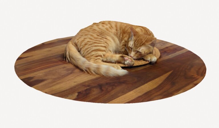 Облачный сервис 3D-сканирования Polycam привлёк раунд и вышел на Vision Pro