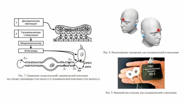 МГУ проведёт исследования воздействия виара на пространственное ориентирование на борту МКС