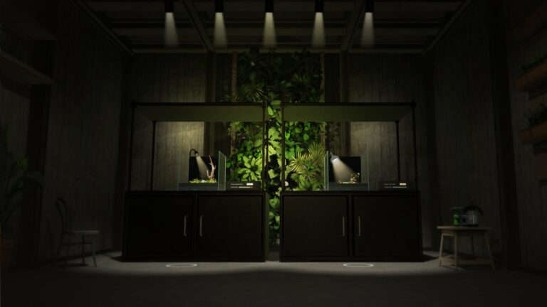 Vivarium предлагает украсить дом умиротворяющими виртуальными террариумами