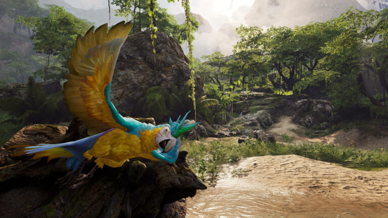 Pirates VR: Jolly Roger: с попугаем на проклятом пиратском острове. Скоро релиз на русском языке