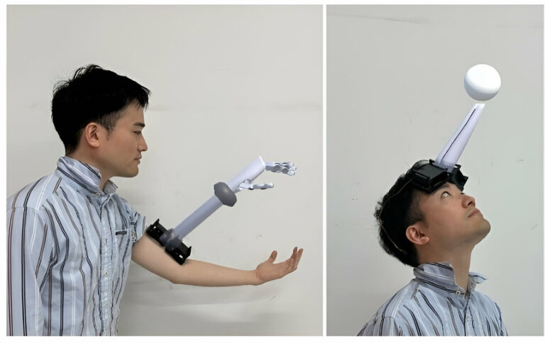 Учёные предложили новый способ чувствовать виртуальные хвосты и крылья