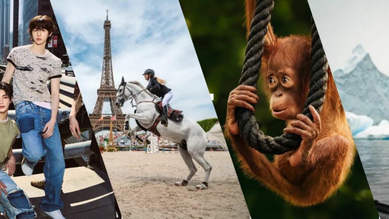 Apple анонсировала россыпь иммерсивных фильмов для Vision Pro