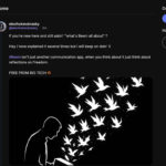 Соцсеть Beem обещает голографическое общение, но начала с токенизации