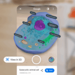 Google добавила в Поиск 3D-модели по анатомии и клеточной биологии