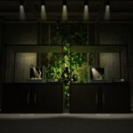 Vivarium предлагает украсить дом умиротворяющими виртуальными террариумами