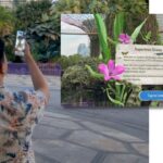На картах Google появится дополненная реальность. Начнут с Сингапура и Парижа