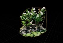 UE-плагин Splat открывает гауссово распределение на Pico