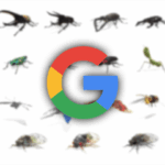 В Поиске Google появились модели насекомых