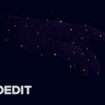 Редактор объёмного видео HoloSuite стал лучше объединять записи и работать с игровыми движками