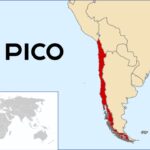 Бренд ниже пояса: Pico не может зарегистрировать торговую марку в Чили из-за её значения на испанском языке