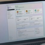 Вышла финальная версия программы Quest for Business. В ней два очень разных тарифа