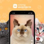 Маски дополненной реальности для котов появились во ВКонтакте