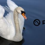 Приоритетным проектом Pico стали облегчённые очки смешанной реальности