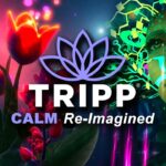 TRIPP получила $11 миллионов от крупных технологических инвесторов