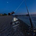 Рыбалка на триллион: разработчик Real VR Fishing поделился успехами продукта и планами на пятилетку
