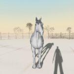 Venice VR expanded: гид по ВР-программе Венецианского кинофестиваля