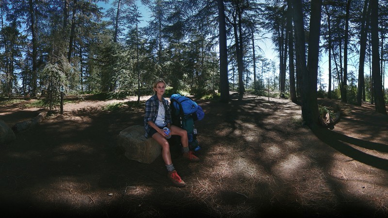 WILD_E (1)