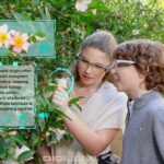 Niantic и Mitsubishi Chemical проинвестировали DigiLens