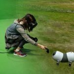 Больше 81% пользователей SteamVR имеют в домах минимальное пространство для трекинга Lighthouse