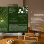 VisionOS 27: Siri AI с активацией взглядом, изогнутые окна, 3D-модели, окружение из панорам и ускоренный Wi-Fi