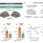 Второе поколение модели Brain2Qwerty может в реальном времени считывать текст из мозга